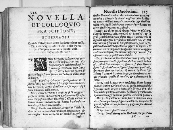 Nouelle di Michel di Ceruantes Saauedra, cioè La bella Cinganetta. L'amante liberale. Rinconette, & Cortadiglio. ... Nouamente trasportate dalla lingua castigliana nella nostra italiana da Donato Fontana milanese: ...