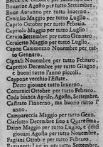 libroantico/BVEE040441/0300