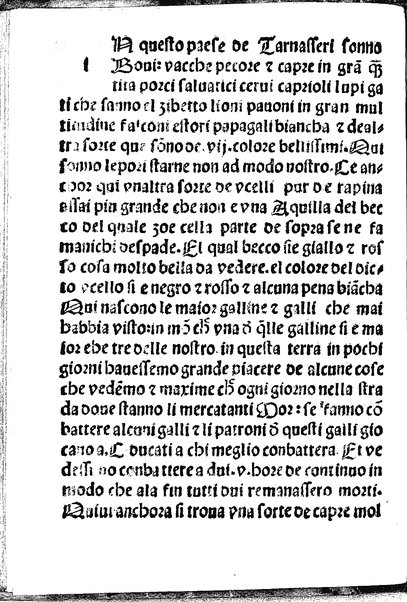 Itinerario. de Ludouico de Varthema bolognese nello egypto nella Suria: nella Arabia deserta & felice nella Persia nella India & nella Ethiopia la fede: el viuere & costumi de tutte le ... prouincie