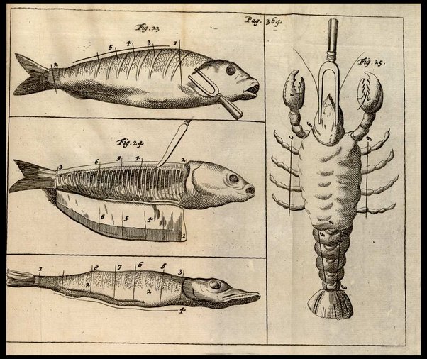 Le vrai cuisinier françois, enseignant la maniere de bien aprêter & assaisonner toutes sortes de viandes, grasses & maigres, ... Augmenté d'un Nouveau confiturier, qui apprend à bien faire toutes sortes de confitures, ... Du Maitre d'hotel et du Grand ecuyer-tranchant, ensemble d'une table alphabetique de matieres qui sont traiteées dans tout le livre. Par le sieur De La Varenne, ecuyer de cuisine de monsr. le Marquisd'Uxelles [!], ...