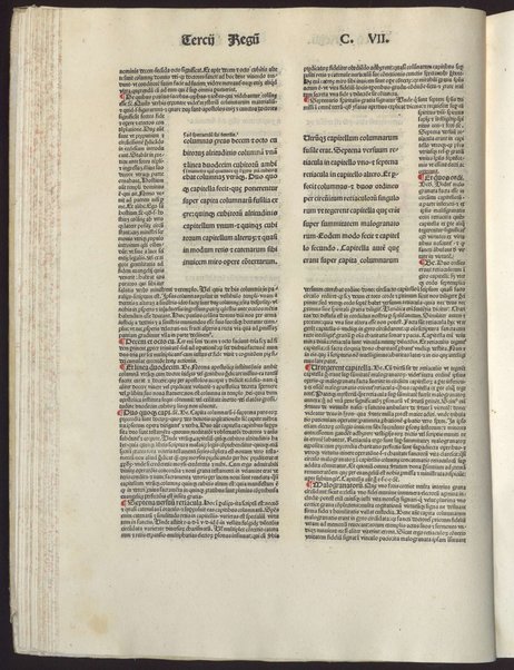[Biblia Latina cum glossa ordinaria Walafridis Strabonis aliorumque et interlineari Anselmi Laudunensis] 2