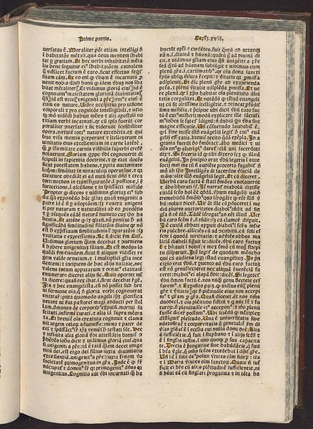 Incipit liber de vita iesu christi non ille de infantia salvatoris apocriphus sed ex serie evangelice historie collectus [1]