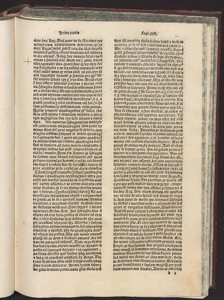 Incipit liber de vita iesu christi non ille de infantia salvatoris apocriphus sed ex serie evangelice historie collectus [1]