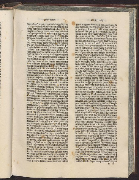 Incipit liber de vita iesu christi non ille de infantia salvatoris apocriphus sed ex serie evangelice historie collectus [1]