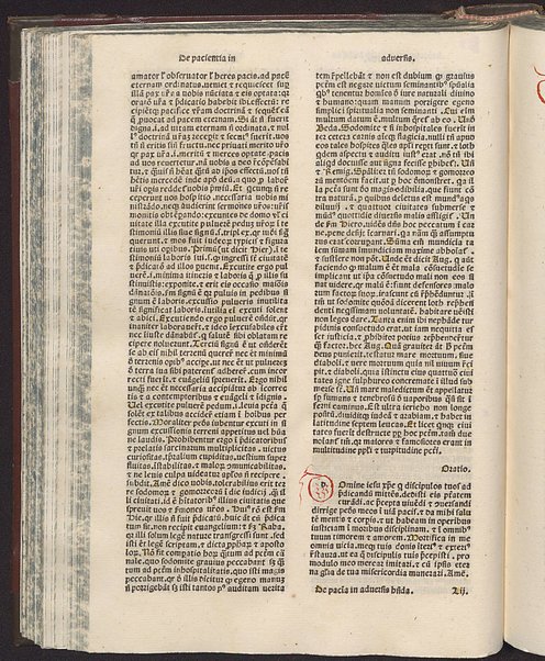 Incipit liber de vita iesu christi non ille de infantia salvatoris apocriphus sed ex serie evangelice historie collectus [1]