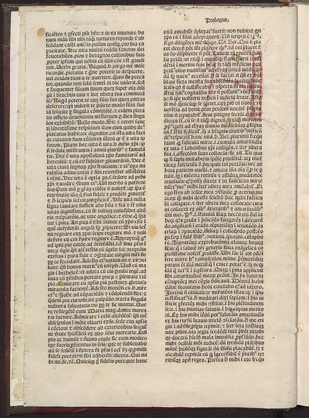 Incipit liber de vita iesu christi non ille de infantia salvatoris apocriphus sed ex serie evangelice historie collectus [1]