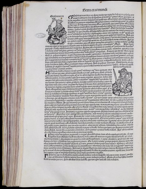 Registrum huius operis libri cronicarum cum figuris et ymaginibus ab inicio mundi