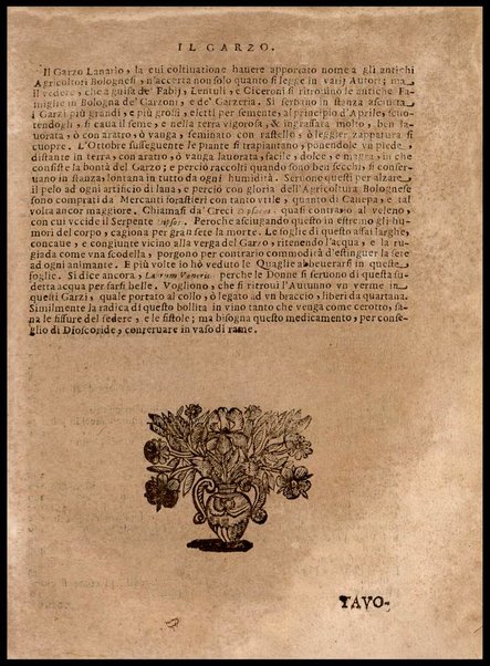 Economia del cittadino in villa del sig. Vincenzo Tanara libri 7