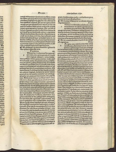 Incipit prefatio beati Johannis heremite qui Cassianus dicitur in duodecim libros de institutis cenobiorum et de octo principalium viciorum remediis