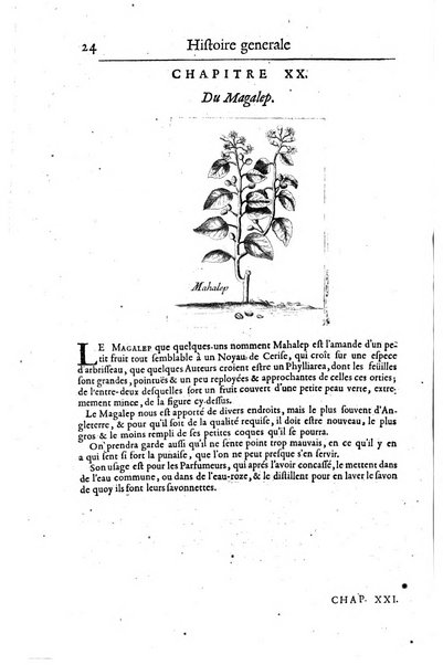 Histoire generale des drogues, traitant des plantes, des animaux, & des mineraux; ...par le sieur Pierre Pomet, ...