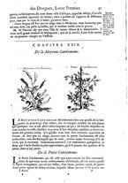 libroantico/FERE001203/0056