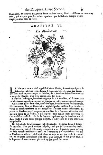 Histoire generale des drogues, traitant des plantes, des animaux, & des mineraux; ...par le sieur Pierre Pomet, ...