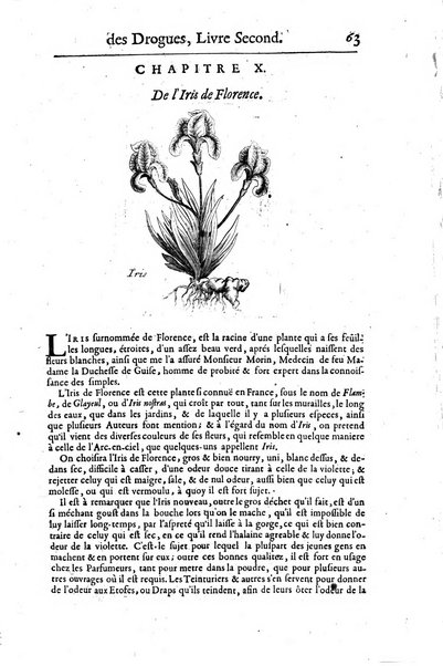 Histoire generale des drogues, traitant des plantes, des animaux, & des mineraux; ...par le sieur Pierre Pomet, ...