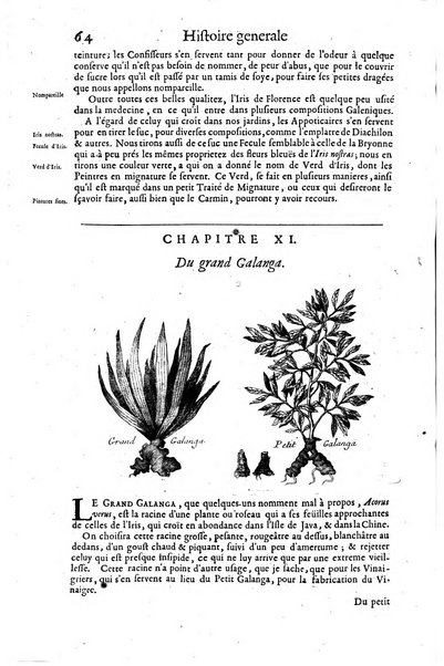 Histoire generale des drogues, traitant des plantes, des animaux, & des mineraux; ...par le sieur Pierre Pomet, ...