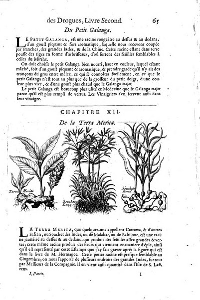 Histoire generale des drogues, traitant des plantes, des animaux, & des mineraux; ...par le sieur Pierre Pomet, ...