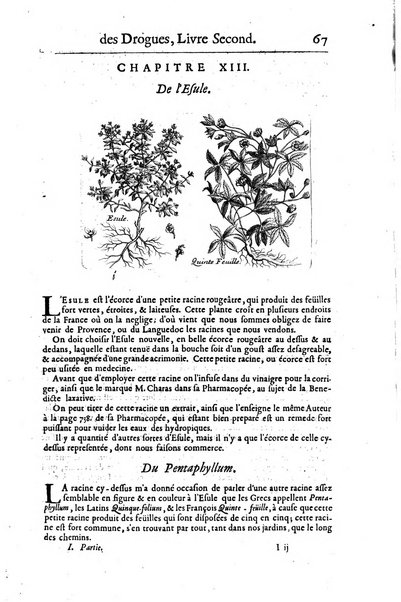 Histoire generale des drogues, traitant des plantes, des animaux, & des mineraux; ...par le sieur Pierre Pomet, ...