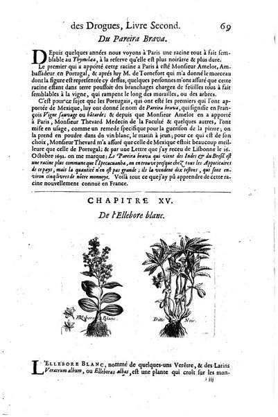 Histoire generale des drogues, traitant des plantes, des animaux, & des mineraux; ...par le sieur Pierre Pomet, ...