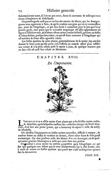 Histoire generale des drogues, traitant des plantes, des animaux, & des mineraux; ...par le sieur Pierre Pomet, ...