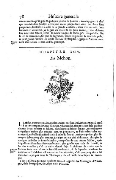 Histoire generale des drogues, traitant des plantes, des animaux, & des mineraux; ...par le sieur Pierre Pomet, ...