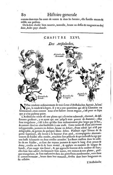 Histoire generale des drogues, traitant des plantes, des animaux, & des mineraux; ...par le sieur Pierre Pomet, ...
