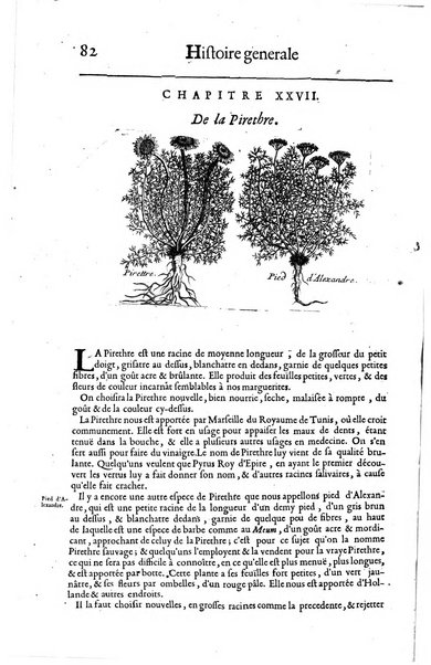 Histoire generale des drogues, traitant des plantes, des animaux, & des mineraux; ...par le sieur Pierre Pomet, ...