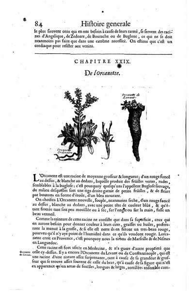 Histoire generale des drogues, traitant des plantes, des animaux, & des mineraux; ...par le sieur Pierre Pomet, ...