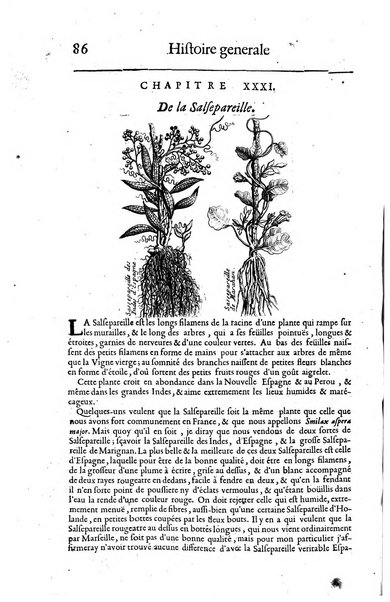 Histoire generale des drogues, traitant des plantes, des animaux, & des mineraux; ...par le sieur Pierre Pomet, ...