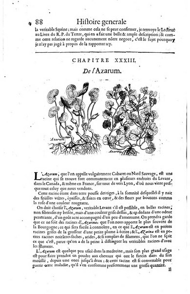 Histoire generale des drogues, traitant des plantes, des animaux, & des mineraux; ...par le sieur Pierre Pomet, ...