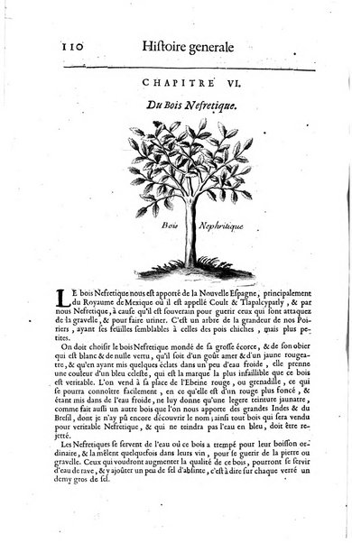 Histoire generale des drogues, traitant des plantes, des animaux, & des mineraux; ...par le sieur Pierre Pomet, ...