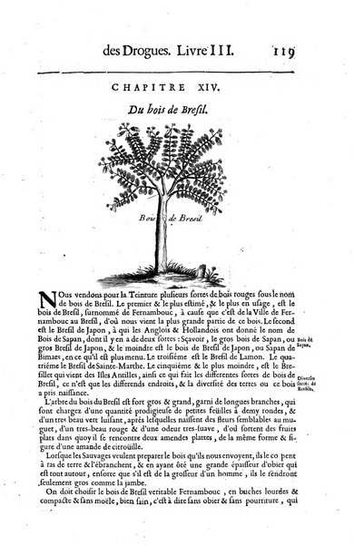 Histoire generale des drogues, traitant des plantes, des animaux, & des mineraux; ...par le sieur Pierre Pomet, ...