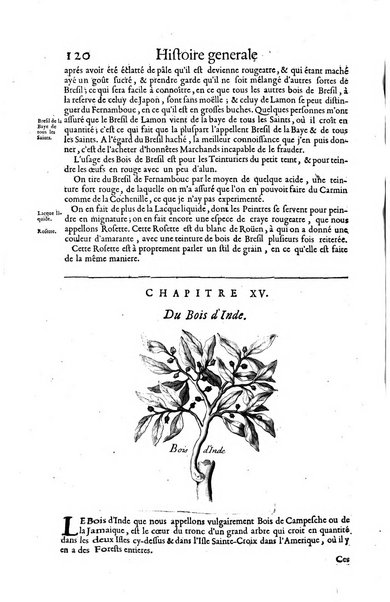 Histoire generale des drogues, traitant des plantes, des animaux, & des mineraux; ...par le sieur Pierre Pomet, ...