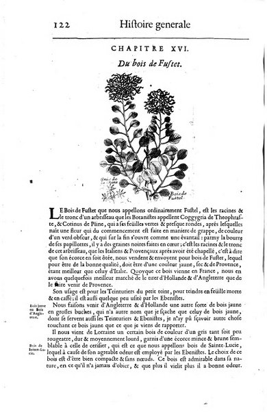 Histoire generale des drogues, traitant des plantes, des animaux, & des mineraux; ...par le sieur Pierre Pomet, ...