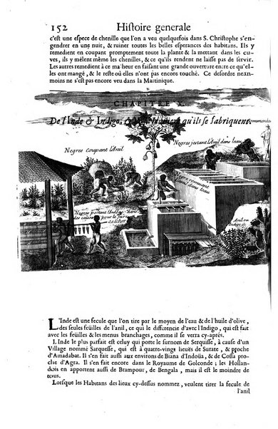 Histoire generale des drogues, traitant des plantes, des animaux, & des mineraux; ...par le sieur Pierre Pomet, ...