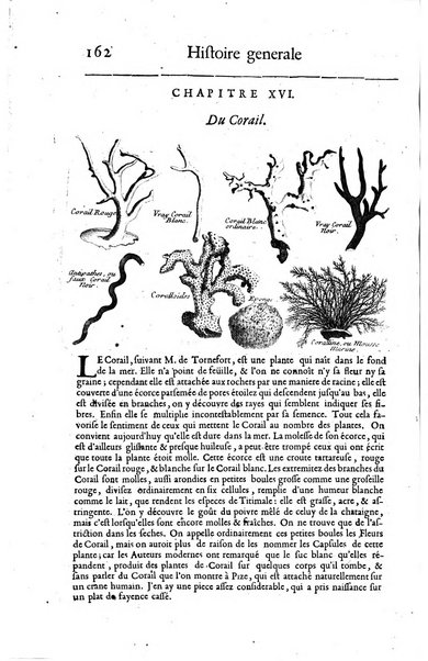 Histoire generale des drogues, traitant des plantes, des animaux, & des mineraux; ...par le sieur Pierre Pomet, ...