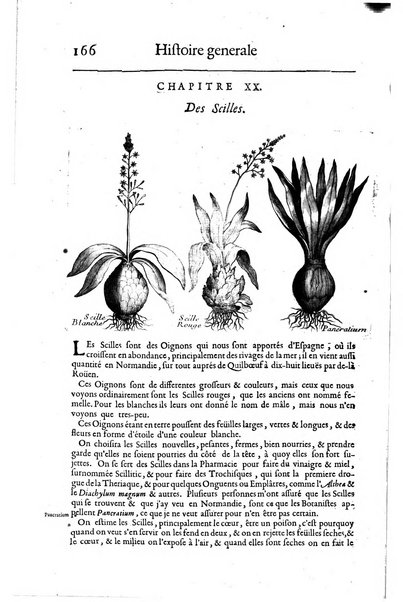 Histoire generale des drogues, traitant des plantes, des animaux, & des mineraux; ...par le sieur Pierre Pomet, ...