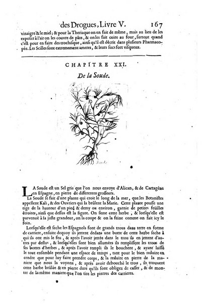 Histoire generale des drogues, traitant des plantes, des animaux, & des mineraux; ...par le sieur Pierre Pomet, ...
