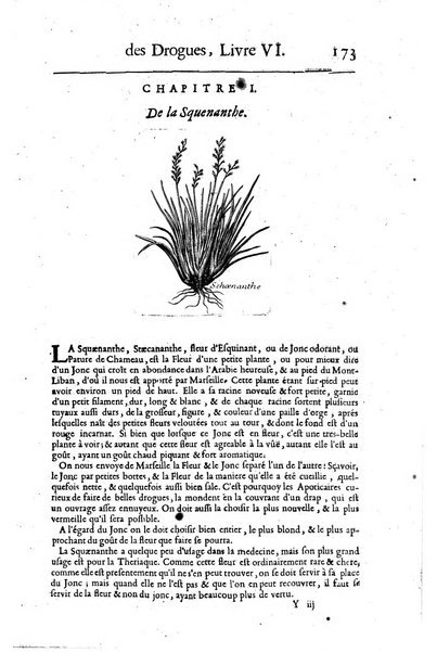 Histoire generale des drogues, traitant des plantes, des animaux, & des mineraux; ...par le sieur Pierre Pomet, ...