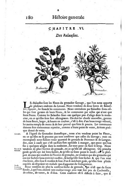 Histoire generale des drogues, traitant des plantes, des animaux, & des mineraux; ...par le sieur Pierre Pomet, ...