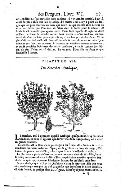 Histoire generale des drogues, traitant des plantes, des animaux, & des mineraux; ...par le sieur Pierre Pomet, ...