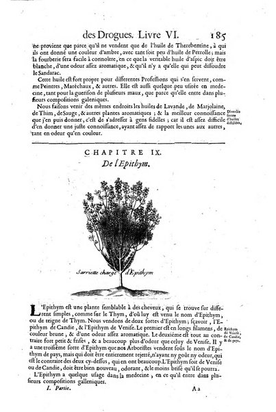 Histoire generale des drogues, traitant des plantes, des animaux, & des mineraux; ...par le sieur Pierre Pomet, ...