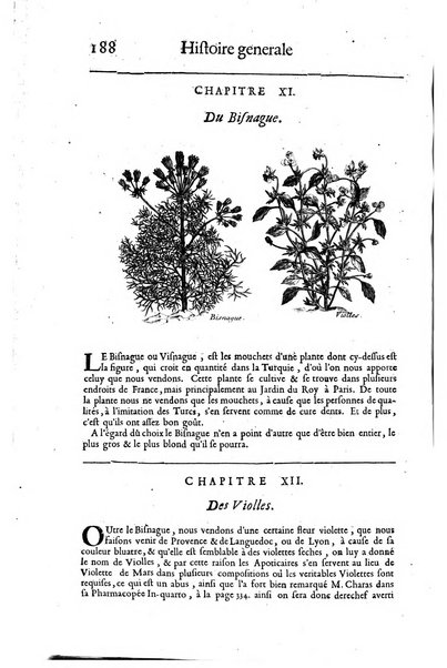 Histoire generale des drogues, traitant des plantes, des animaux, & des mineraux; ...par le sieur Pierre Pomet, ...