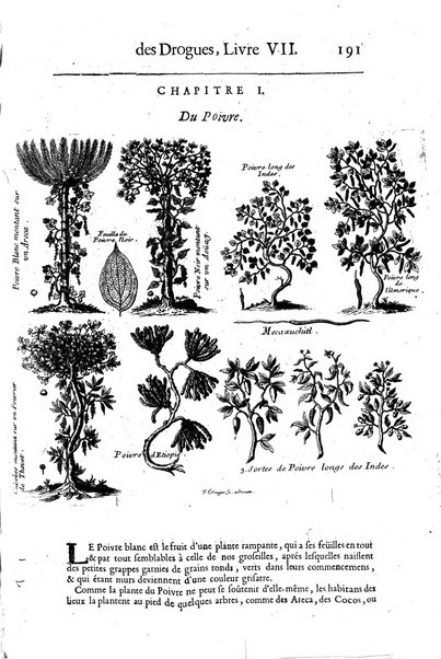 Histoire generale des drogues, traitant des plantes, des animaux, & des mineraux; ...par le sieur Pierre Pomet, ...