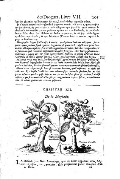 Histoire generale des drogues, traitant des plantes, des animaux, & des mineraux; ...par le sieur Pierre Pomet, ...