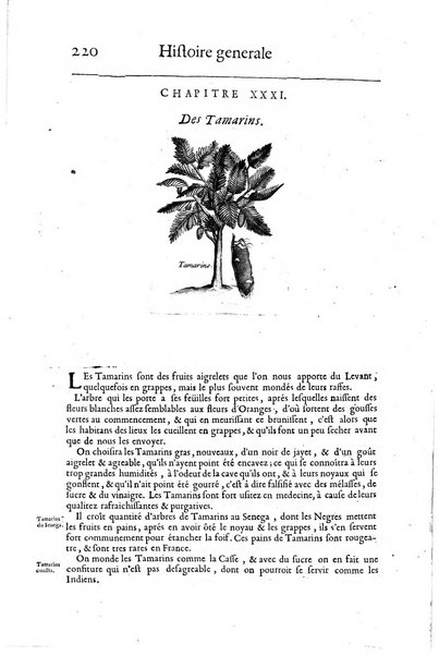 Histoire generale des drogues, traitant des plantes, des animaux, & des mineraux; ...par le sieur Pierre Pomet, ...