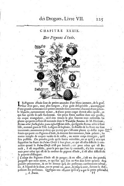 Histoire generale des drogues, traitant des plantes, des animaux, & des mineraux; ...par le sieur Pierre Pomet, ...