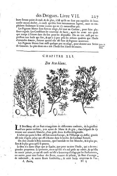 Histoire generale des drogues, traitant des plantes, des animaux, & des mineraux; ...par le sieur Pierre Pomet, ...