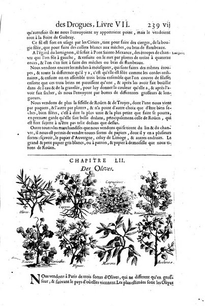 Histoire generale des drogues, traitant des plantes, des animaux, & des mineraux; ...par le sieur Pierre Pomet, ...