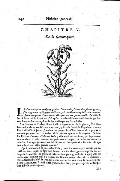 Histoire generale des drogues, traitant des plantes, des animaux, & des mineraux; ...par le sieur Pierre Pomet, ...