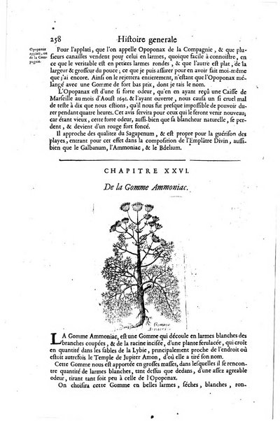 Histoire generale des drogues, traitant des plantes, des animaux, & des mineraux; ...par le sieur Pierre Pomet, ...