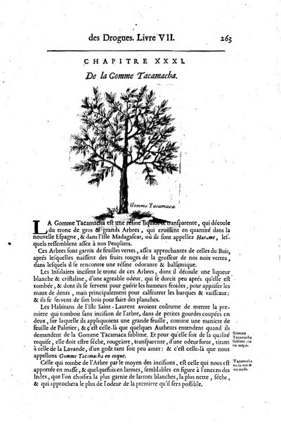 Histoire generale des drogues, traitant des plantes, des animaux, & des mineraux; ...par le sieur Pierre Pomet, ...